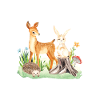 Animal deer rabbit hedgehog Emmie