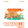 Armadillo Gift Armadillo