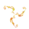 Firewhite