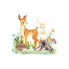 Animal deer rabbit hedgehog Elyanna