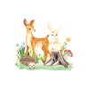 Animal deer rabbit hedgehog Liya