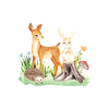 Animal deer rabbit hedgehog Èmilia
