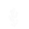 No Hugger Funny Sarcastic Cactus