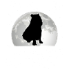 Capybara Lune Capybara