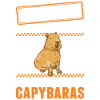 Avertissement Capybara amateurs capybara