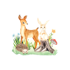 Animal deer rabbit hedgehog Zophia