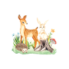 Animal deer rabbit hedgehog Mila