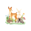 Animal deer rabbit hedgehog Malya