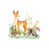 Animal deer rabbit hedgehog Sofie