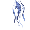 Shark Illustration