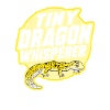 Leopard Gecko Lizard Reptiles Herpetologist