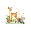 Animal deer rabbit hedgehog Lia