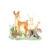 Animal deer rabbit hedgehog Maliyah