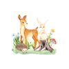 Animal deer rabbit hedgehog Louna
