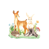 Animal deer rabbit hedgehog Elyana