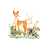Animal deer rabbit hedgehog Maya