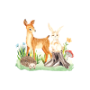 Animal deer rabbit hedgehog Émie