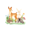 Animal deer rabbit hedgehog Lotta