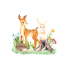 Animal deer rabbit hedgehog Sofia
