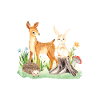 Animal deer rabbit hedgehog Lena