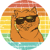 Vintage Style Cat Sunglasses, Funny cat