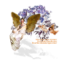 Ethereal/Ästhetik