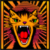 Screamin' Rocking Cat