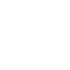 Life is better with dolphins