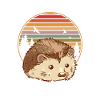 Schönes Igel Bild