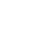 11 Number crown