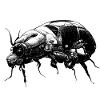 Cyber Beetle 2101
