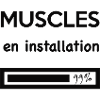 Muscles en installation