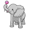 Elephant lollipops