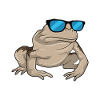 Frog Sunglasses