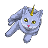Cat Unicorn
