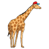 Giraffe Student Cap School