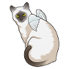 Cat Angel Wings