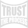 trust the process Quote
