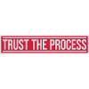 trust the process Quote