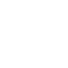 Big Brother