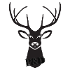 P&D Cerf