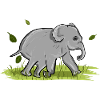 Elephant Animal Symbol Nature