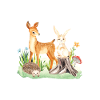 Animal deer rabbit hedgehog Maliya