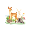 Animal deer rabbit hedgehog Kali