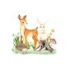 Animal deer rabbit hedgehog Alyssia