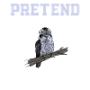 Pretend I'm a Kookaburra