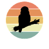Great Kookaburra silhouette