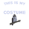 Kookaburra Halloween Design
