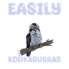 Laughing Kookaburra