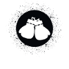 Circle 1 Boxing Gloves - BO
